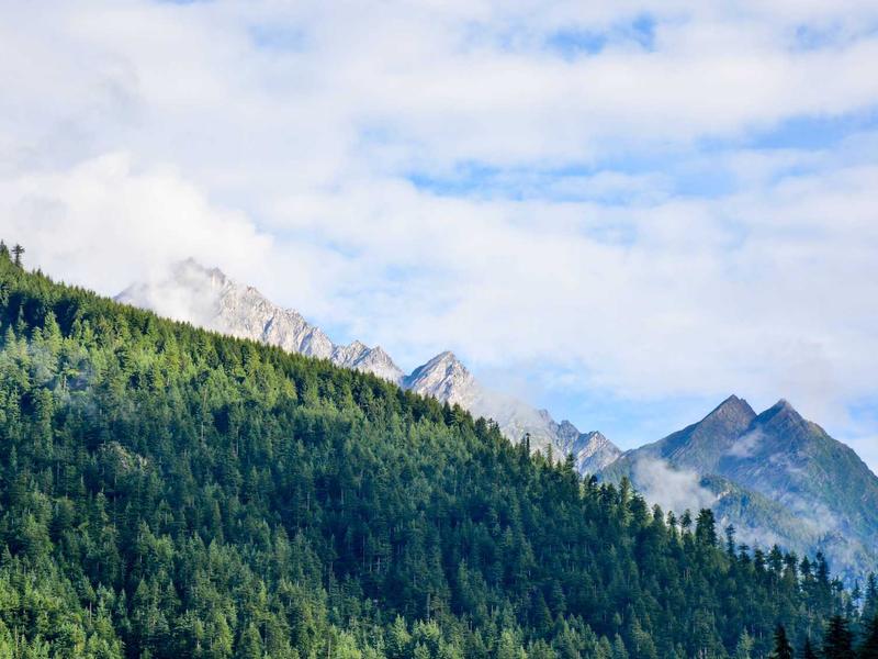 Stres Yönetimi ve Günlük Hayatta İç Huzuru Bulma Yolları